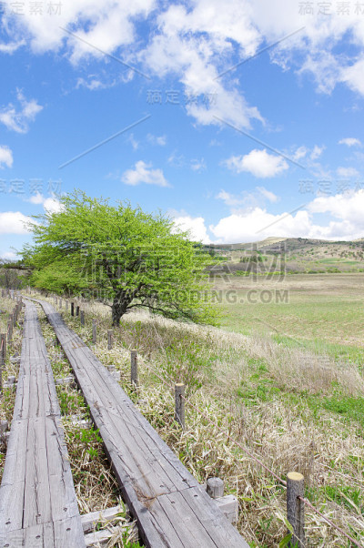 山野县