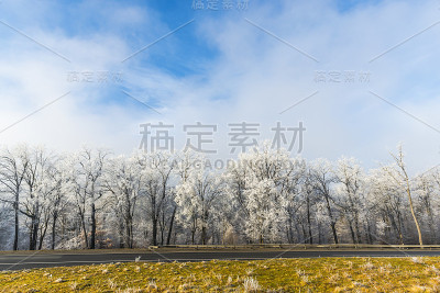 冬天的风景
