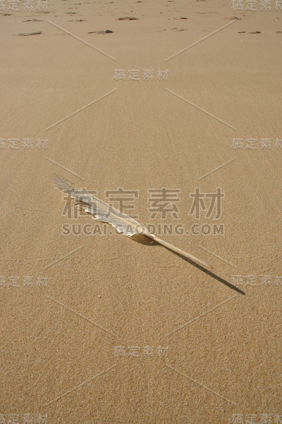 海滩上的钢笔
