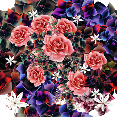美丽的图案插图与玫瑰花