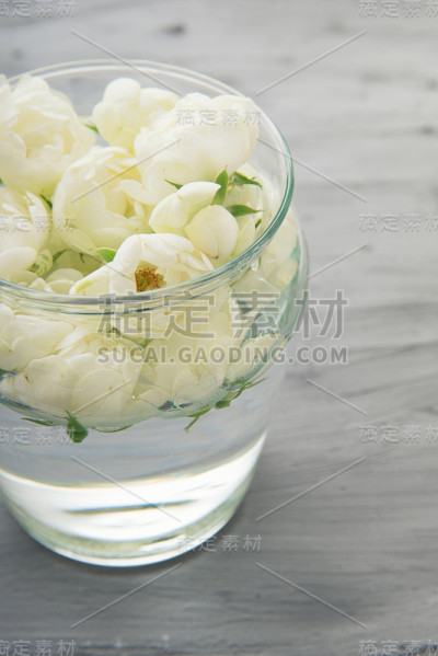 白色的小玫瑰