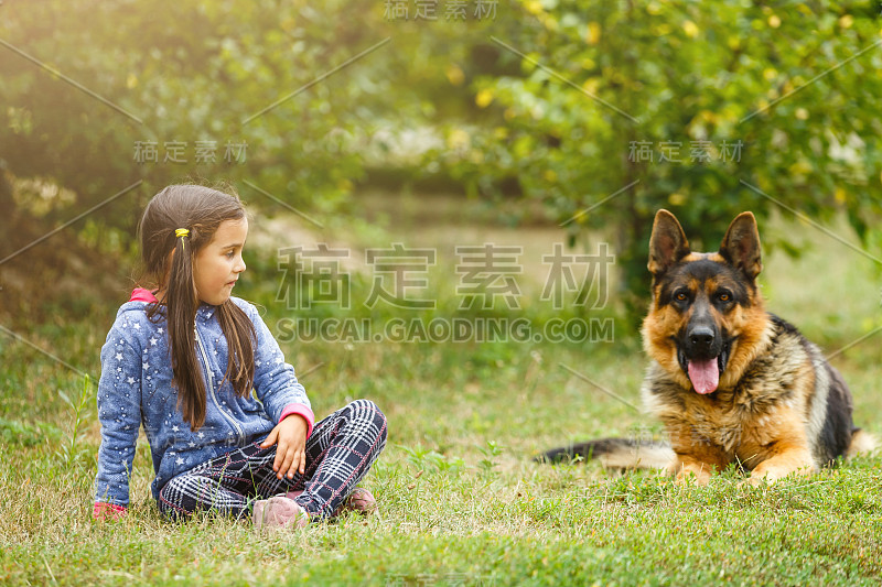 漂亮的小女孩，命令德国牧羊犬坐下。