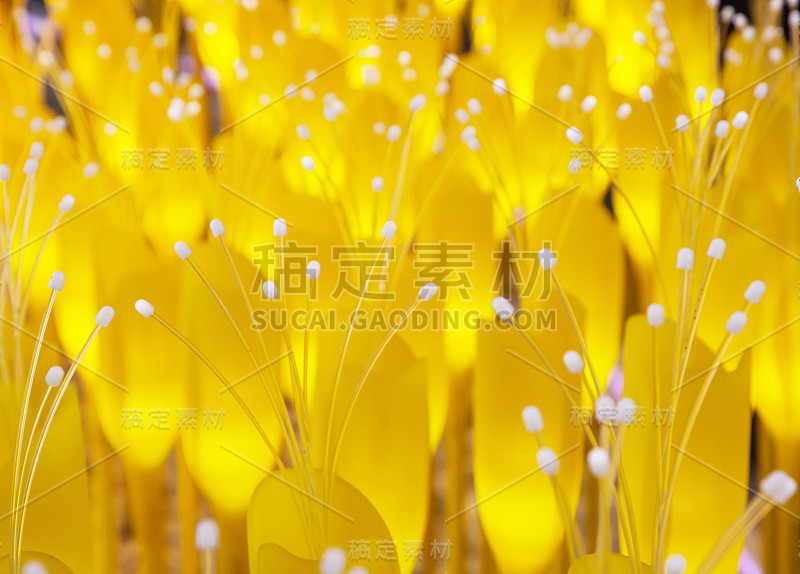 耳形灯饰为黄色