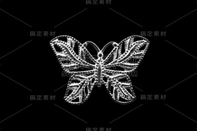 蝴蝶胸针孤立