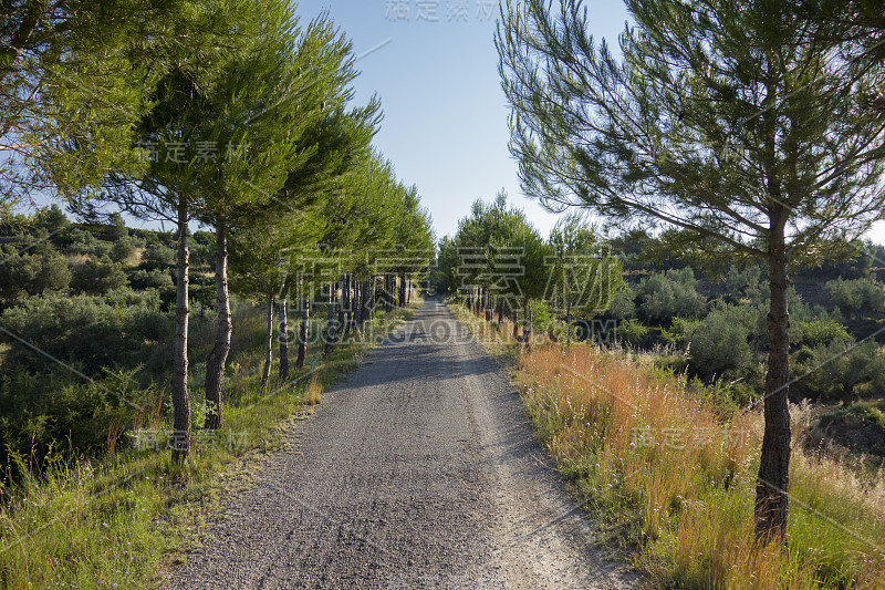 顺便说一句，绿眼睛黑在省CastellÃ³n