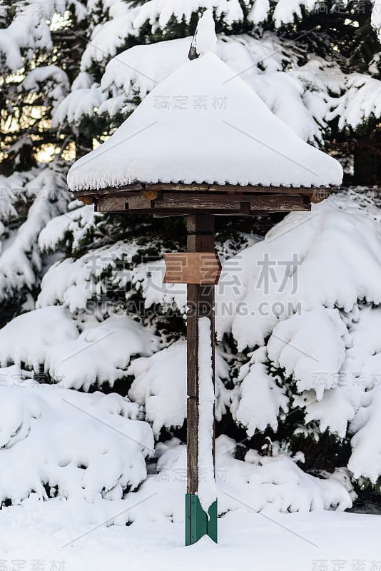 木牌菌类，覆盖着雪，冬天