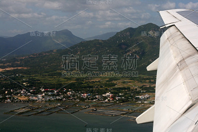 翼