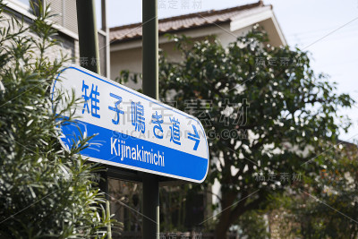野鸡啼叫路