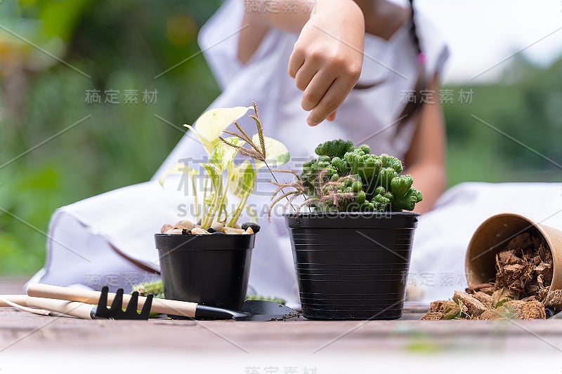 一个小女孩正在种树。