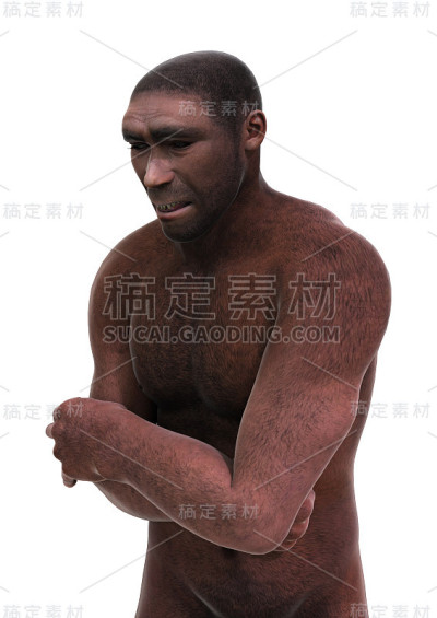 3D渲染男性直立人在白色上