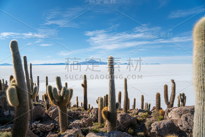 南美洲玻利维亚阿塔卡马地区美丽的风景