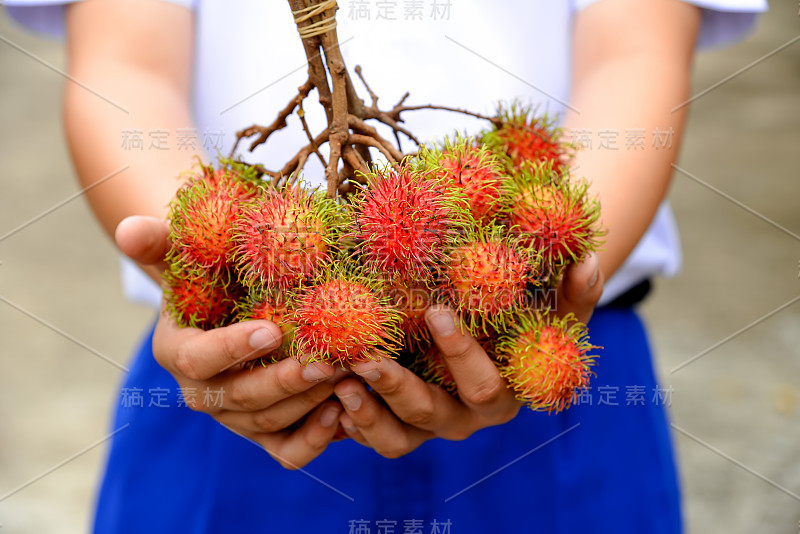 美味的红毛丹水果在男孩的手从市场。