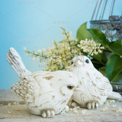 鸟与春天的花枝