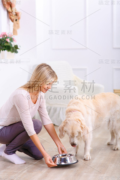 有爱心的女人在喂狗