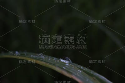雨滴