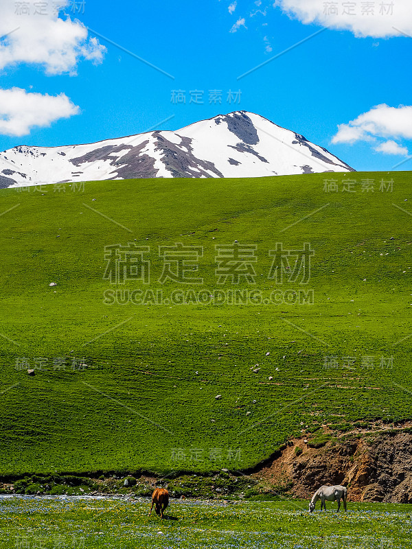 天山山脉，吉尔吉斯斯坦