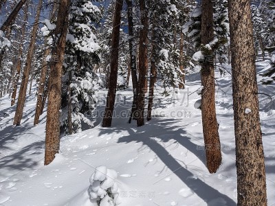 冬季滑雪山