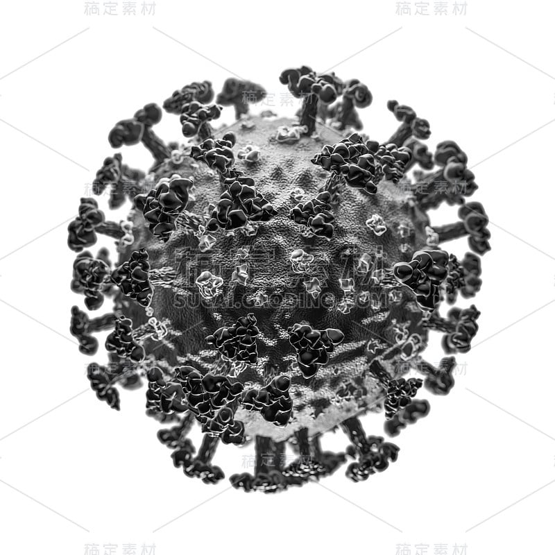 SARS-CoV-2或2019-ncov冠状病毒的概念