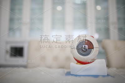 光学测量装置