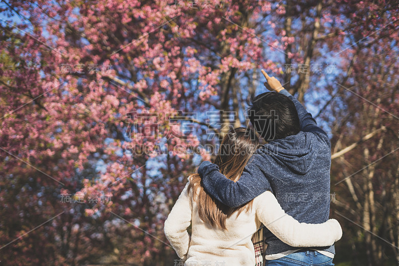 年轻夫妇在公园里散步，看着樱花树