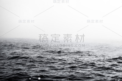 野生海