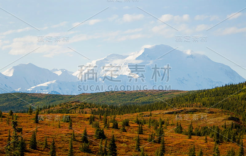 麦金利山，前景是树