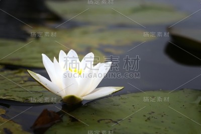 水利