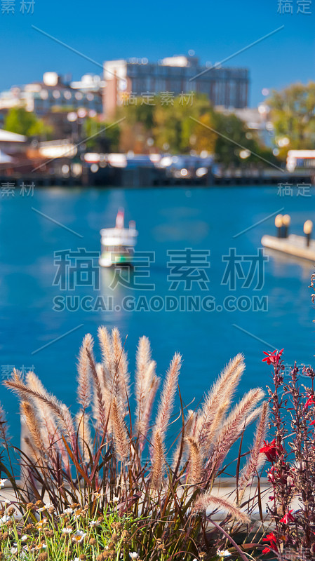 温哥华港