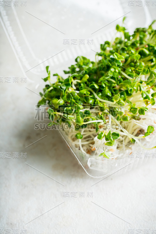 Microgreen。塑料容器内的萝卜芽