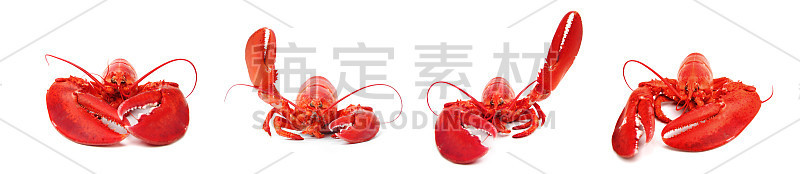 你好龙虾集