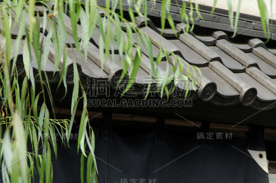 柳树