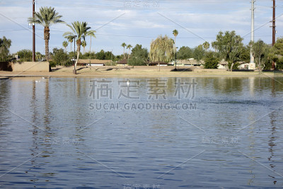 科特斯湖