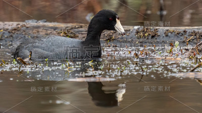 在湖上