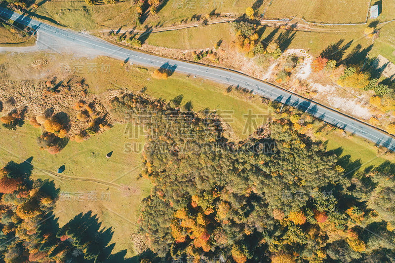 俯视图上的秋天风景。多彩的森林、草地和高速公路