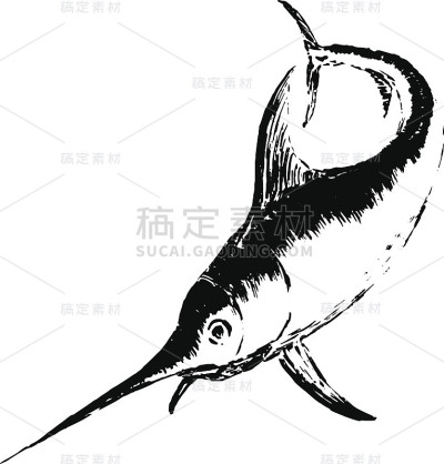 剑鱼