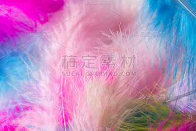许多浅色多色羽毛的狂欢节服装。