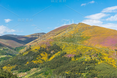 葡萄园和风景的杜罗河地区在葡萄牙