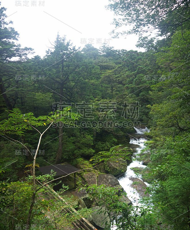 山区河流