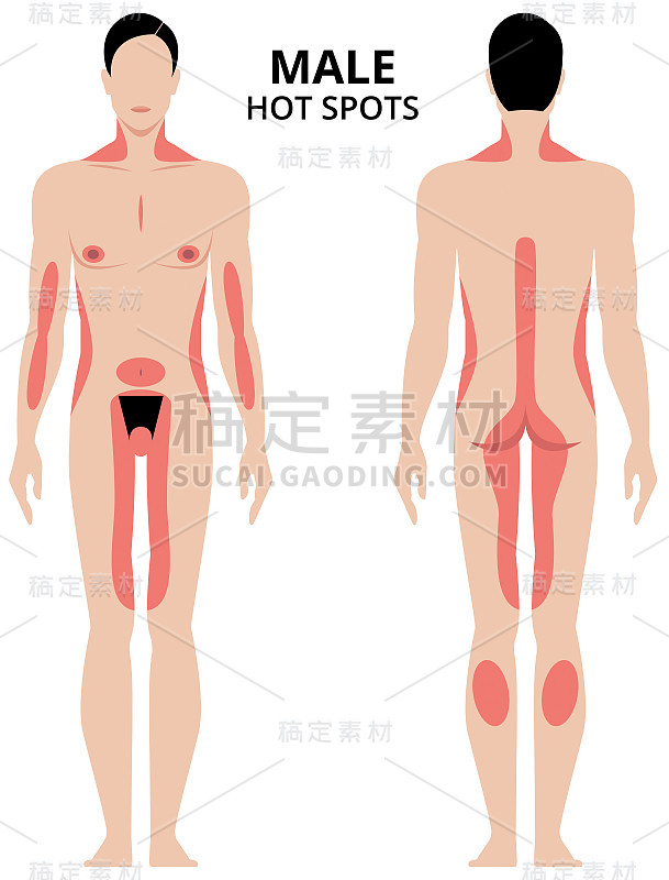 Vector illustration of male erogenous zones. Man i