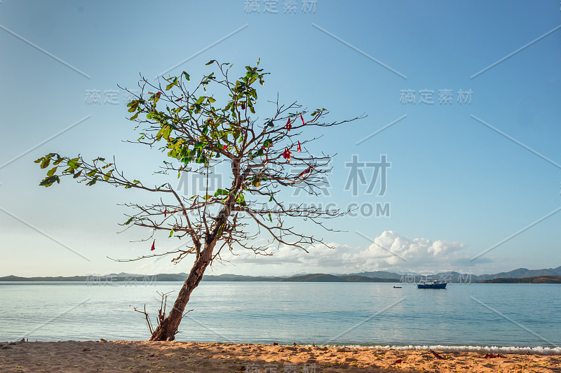 马达加斯加岛的海岸线，成排的棕榈树和漂浮在海上的船只