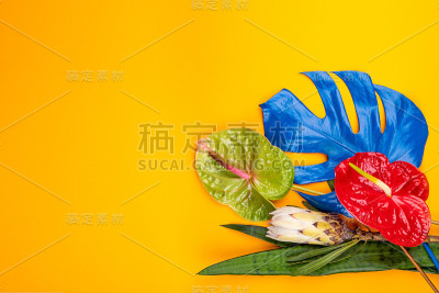 五颜六色的鲜花花束。