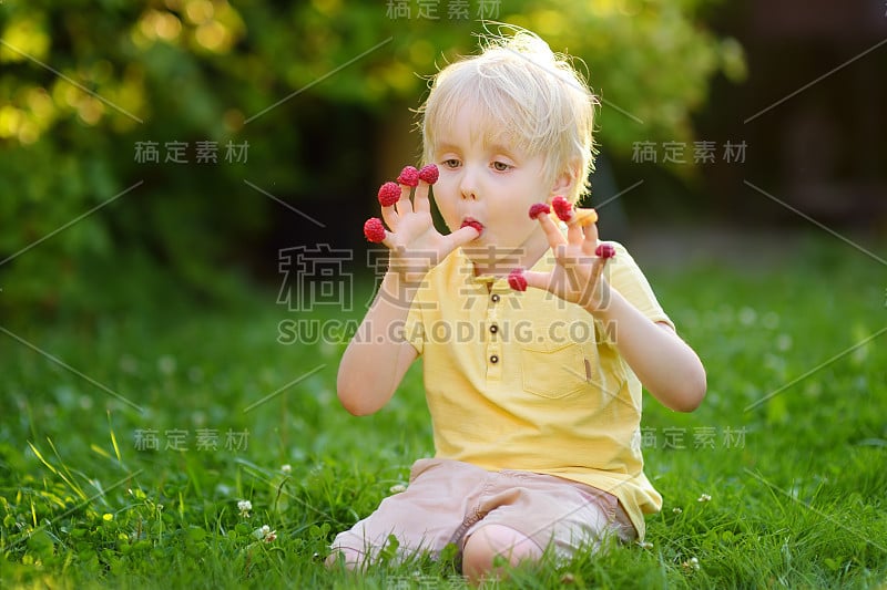 小男孩坐在后院看着手指上的树莓