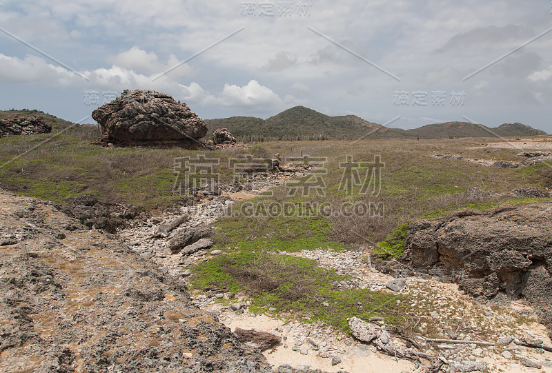 博内尔加勒比岛屿景观