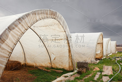 农场上的塑料隧道温室，天空阴沉，暴风雨多云