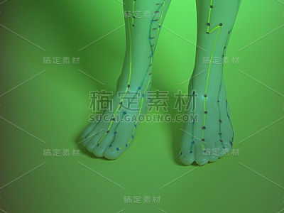 人体足部的医学针灸模型