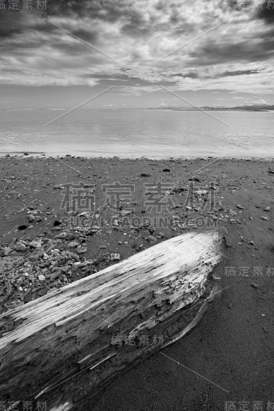 海滩上的木材