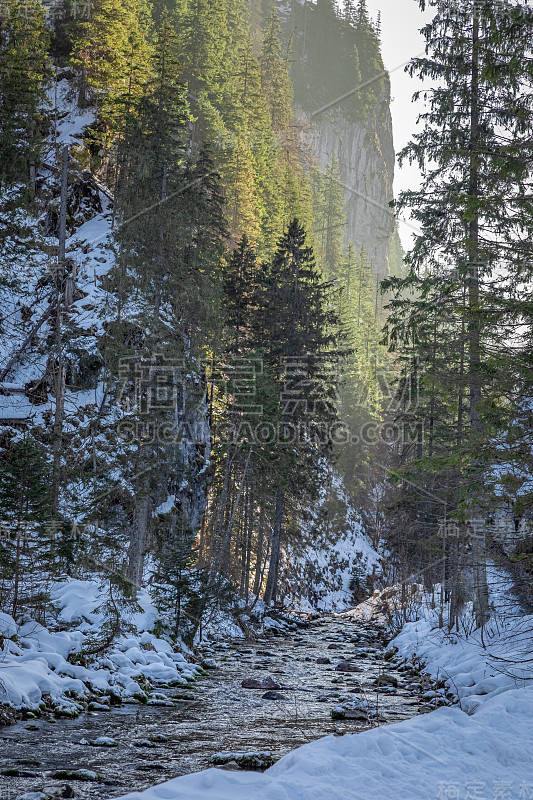 塔特拉斯的科斯切里斯卡山谷里美妙的雪域森林和河流