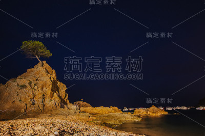 海边岩石上的一棵孤独的树。西班牙Tossa de Mar的夜晚