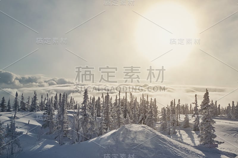 美丽的冬季景观，云杉树覆盖雪，太阳和天空之上的云在山顶