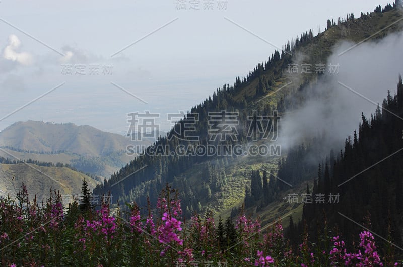 夏天山，扎利斯基·阿拉图。高山，巨石。天山。阿拉木图